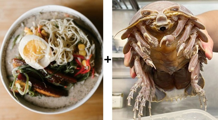Un restaurant a créé des ramen avec des isopodes : le résultat fait frémir