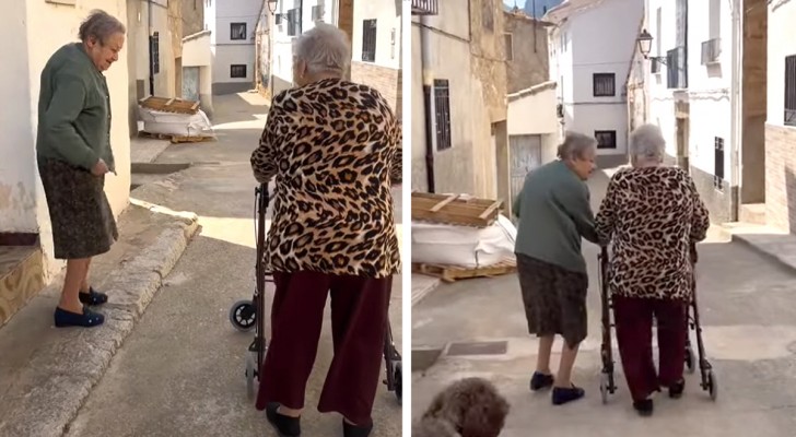 Un'amicizia che nutre l'anima: un'anziana signora aspetta tutti i giorni la sua migliore amica (+ VIDEO)