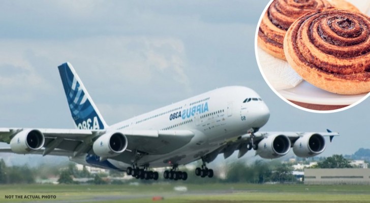 Luchtvaartmaatschappij rekent een stel $100 aan voor het meenemen van twee gebakjes aan boord