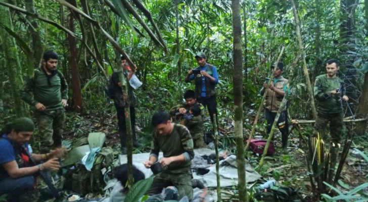 Quattro fratelli sono sopravvissuti per 40 giorni nella giungla dopo un incidente aereo