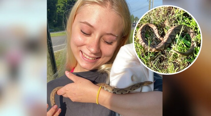 Dieses Mädchen glaubte, eine Ringelnatter gefangen zu haben, aber es war eine Giftschlange