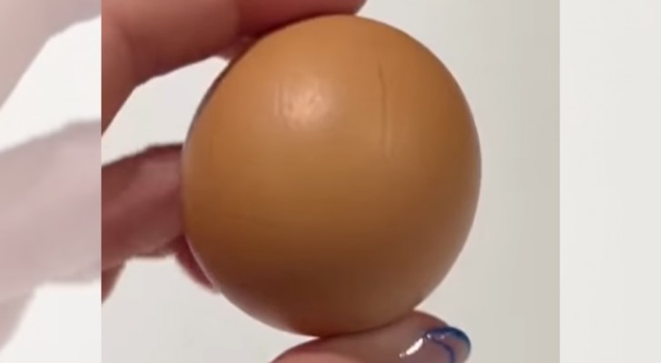 Trovato un rarissimo uovo perfettamente rotondo: ne esiste uno su un miliardo