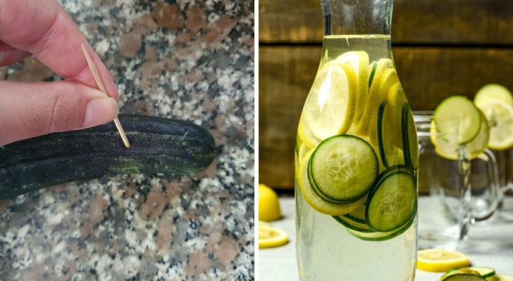 Geniet langdurig van verse komkommers: ontdek 3 technieken om ze knapperig en smakelijk te houden