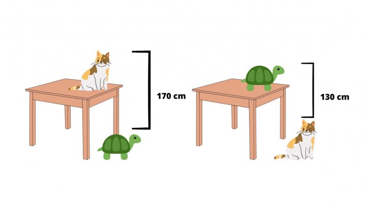 Quelle est la hauteur de la table ? Le devoir donné dans une classe d'école primaire en Chine vous mettra à l'épreuve