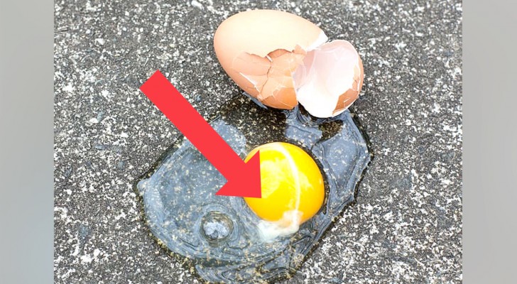 Hay un extraño filamento blanco en los huevos crudos: ¿qué es?
