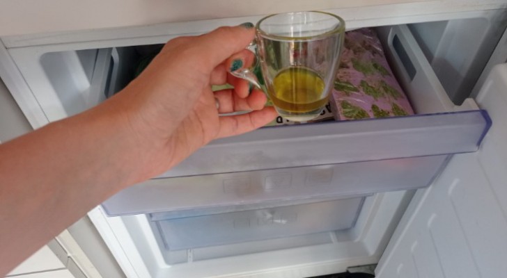 Olio di oliva congelato: quali vantaggi dalla sua conservazione in freezer?