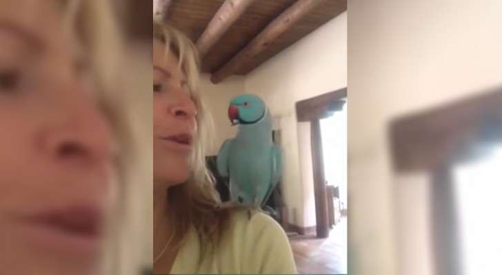Sie beginnt mit ihrem Papagei zu sprechen. Ihre Konversation wird euch sprachlos machen