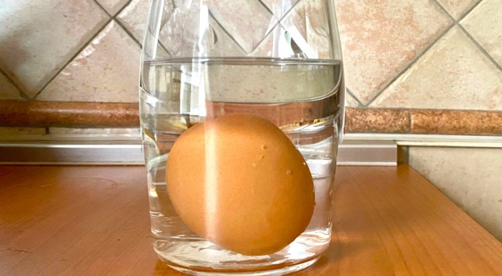 Vissa lägger ägget i ett glas vatten innan de ska använda det i matlagningen: alla borde veta varför