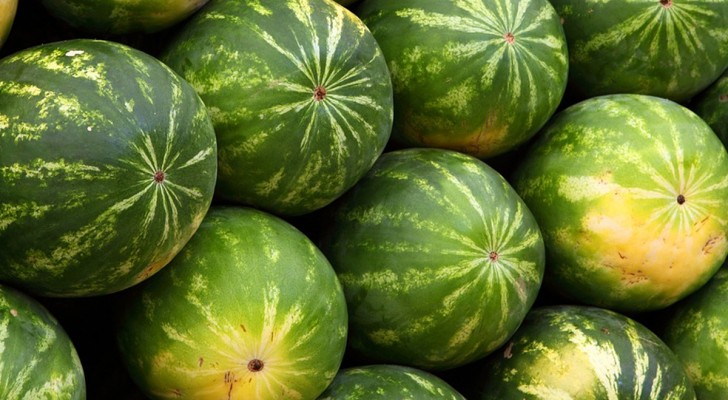 Klop niet meer op watermeloenen: er is maar één manier om de juiste rijpe en zoete te kiezen