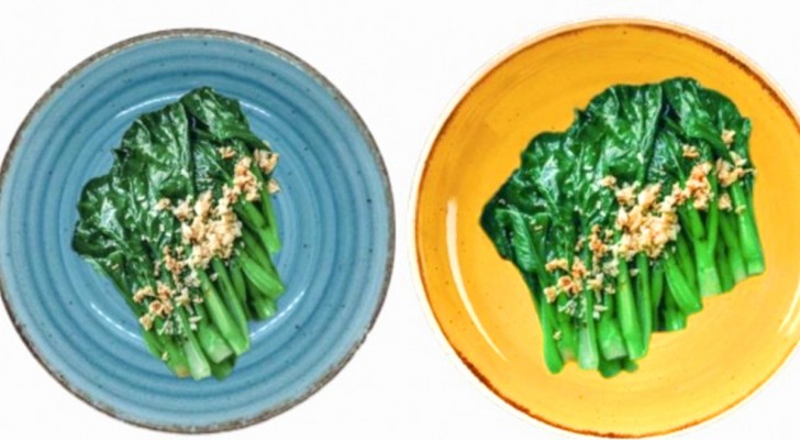 Cosa succede al tuo cervello se mangi su piatti colorati? Non lo avresti mai detto