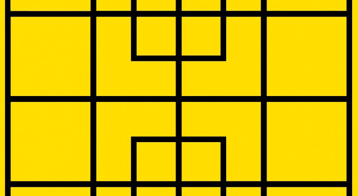 Riesci a dire quanti quadrati ci sono nell'immagine? È un vero rompicapo