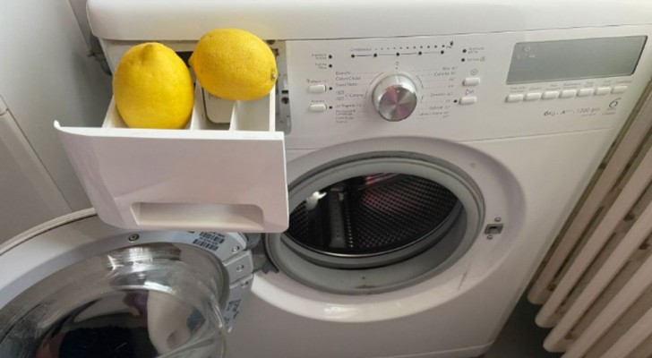 Ist Zitrone in der Waschmaschine das Geheimnis für perfekte Wäsche? Wir erklären, wie man es anwendet