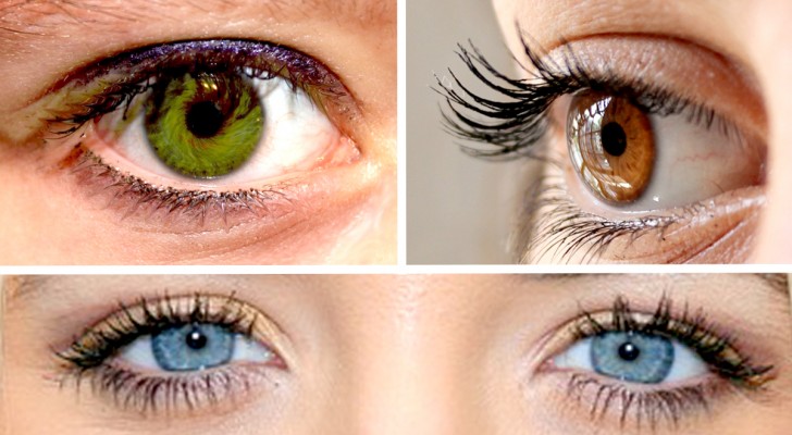 Green, brown or blue: the color of your eyes can reveal something about yourself