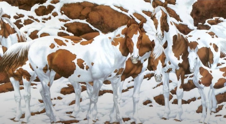 Optische Täuschung: Versucht zu zählen, wie viele Pferde auf dem Bild zu sehen sind