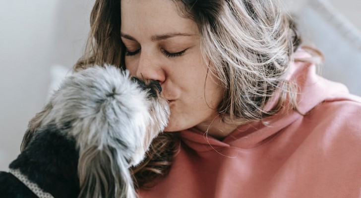Was passiert mit unserem Körper, wenn ein Hund uns über den Mund leckt? 