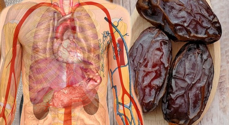 Als je een week lang 3 dadels per dag eet, zal je lichaam je dankbaar zijn: alle voordelen op een rij