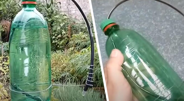Keine Pflanzen mehr ohne Wasser: Entdecken Sie, wie Sie einen effektiven und sparsamen Sprinkler bauen können