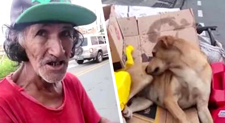 Oferecem dinheiro para este morador de rua para comprar o seu cachorro, mas ele surpreende a todos com a resposta perfeita