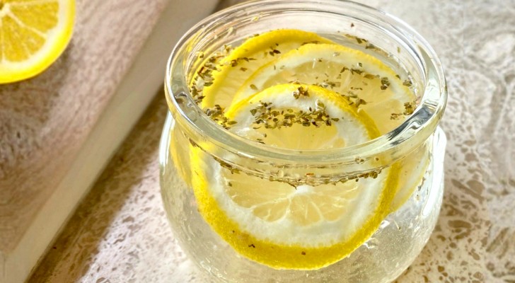 Questo è il rimedio naturale super efficace che non farà più entrare una mosca o una zanzara in casa tua