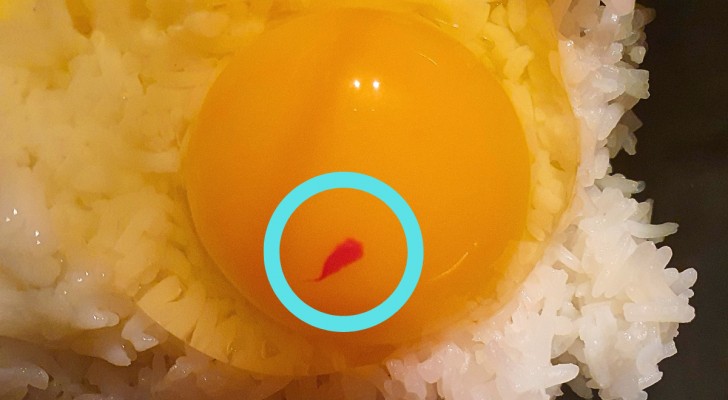 Alcune uova hanno una macchia rossa sul tuorlo: puoi mangiarle lo stesso?