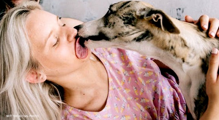 What happens to our body when a dog licks us on the mouth?