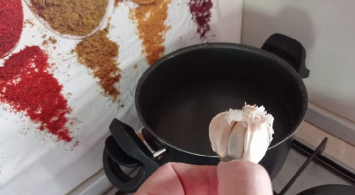 Il miglior repellente per insetti e lucertole si prepara in cucina con aglio e acqua calda