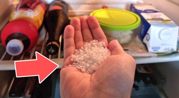 Eine Handvoll grobes Salz im Kühlschrank könnte ein großes Problem lösen, das uns alle plagt