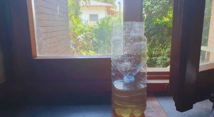 Mit einer Plastikflasche haben Stechmücken, die durch Türen und Fenster eindringen, keine Chance