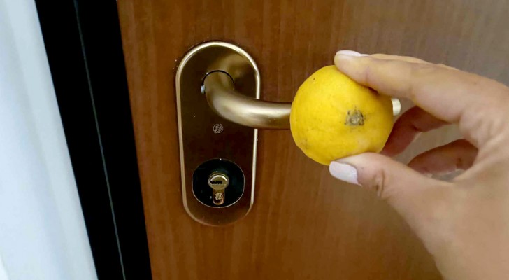 Many people rub a lemon on their doorknobs before going to bed: why?