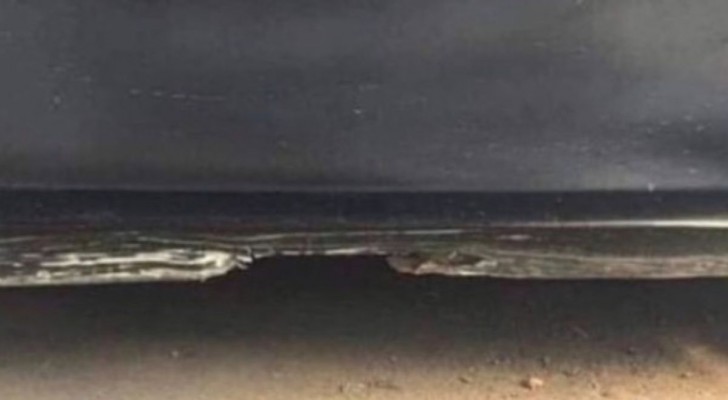 Si vous pensez que l'image représente une mer de nuit, vous vous trompez complètement