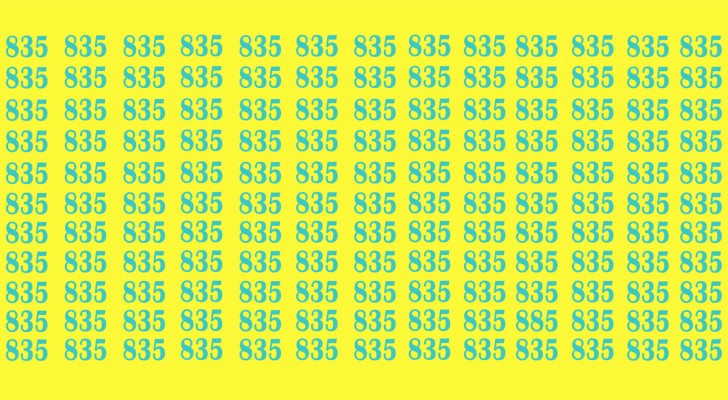 Lukt het jou om het getal 885 in slechts tien seconden te vinden? De observatietest die je gezichtsvermogen uitdaagt
