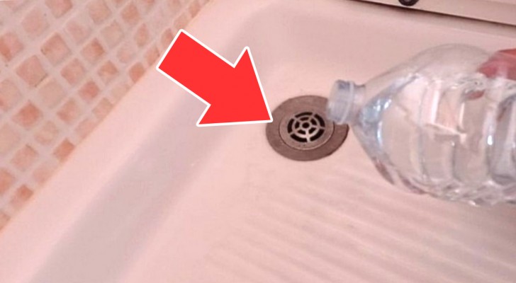 Il trucco della bottiglia per eliminare la puzza di fogna dalla doccia: ecco come funziona