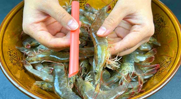 Como limpar camarão com rapidez e facilidade: o resultado é fenomenal