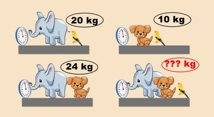 Jeu de mathématiques : pouvez-vous trouver combien pèsent ensemble l'éléphant, le chien et l'oiseau ?