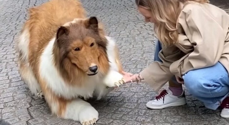 De man die 14.000 dollar uitgaf om een ​​hond te worden, heeft weer een droom vervuld