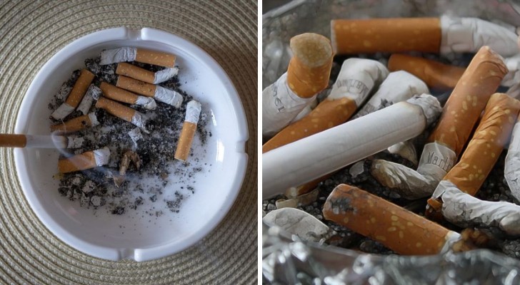 Puzza di fumo dai posacenere in casa: falla sparire con poche semplici mosse
