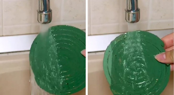 Spirale antizanzare: se la bagni è meglio, ti spieghiamo perché