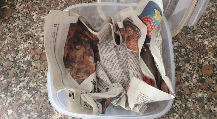 Fogli di giornale nei contenitori per alimenti: è il trucco a costo zero per dimenticarsi di un problema comune
