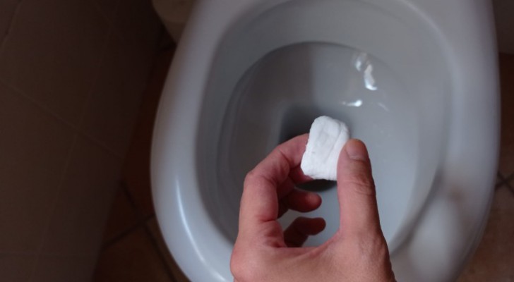 WC schoon en bacterievrij door deze effectieve tabletten die je zelf kan maken