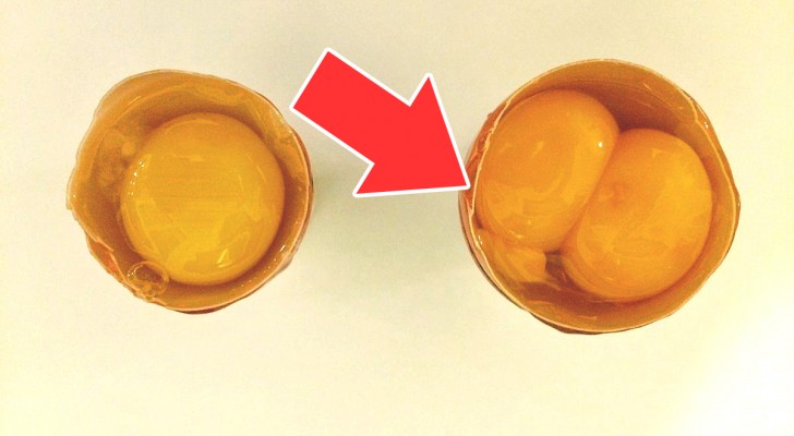 In alcune uova può capitare di trovare due tuorli: cosa significa e se è sicuro mangiarle
