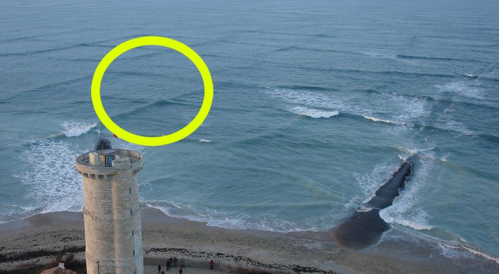 Se vedi delle onde quadrate in mare, devi subito uscire dall'acqua per questo motivo