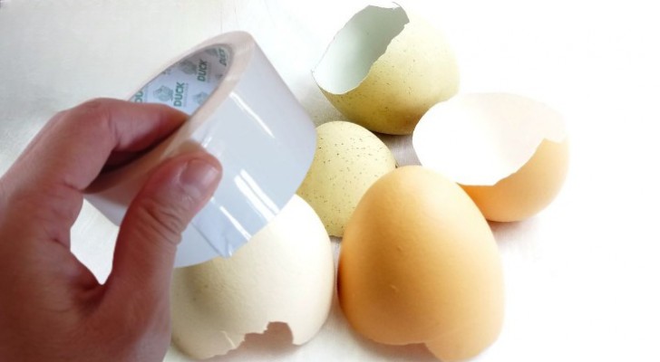 Eierschalen und Kreppband: zusammen sind sie eine tolle Kombination