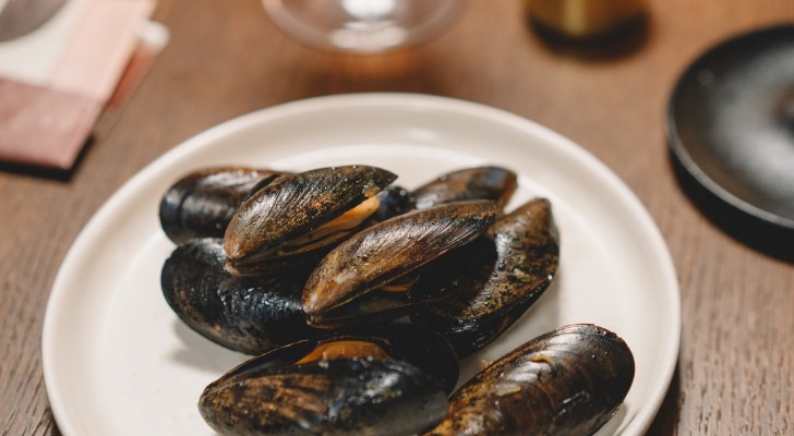 Non dovresti mai mangiare le cozze nei mesi con la lettera R: c'è una ragione precisa