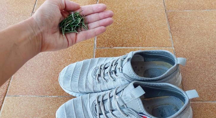 Det är viktigt att lägga lite rosmarin i skorna innan du går och lägger dig: varför?