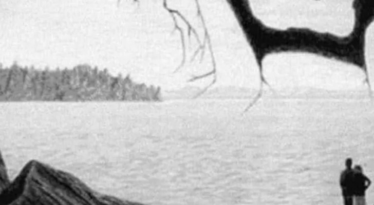 Optisk illusion: är du tillräckligt observant för att se den nyfödda bebisen?
