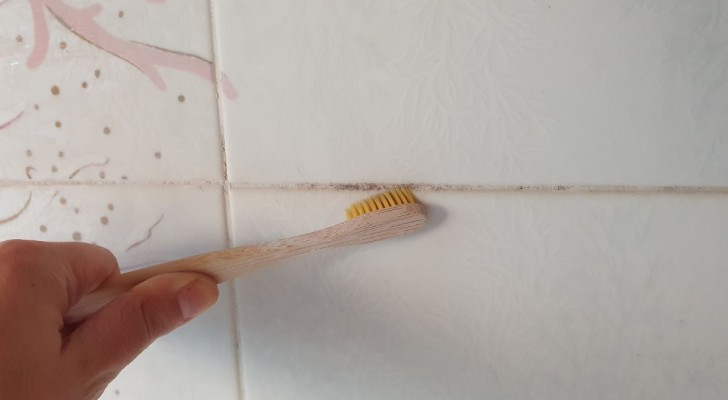 Pour dire adieu à la moisissure sur les joints dans la salle bain, aidez-vous avec de simples astuces DIY