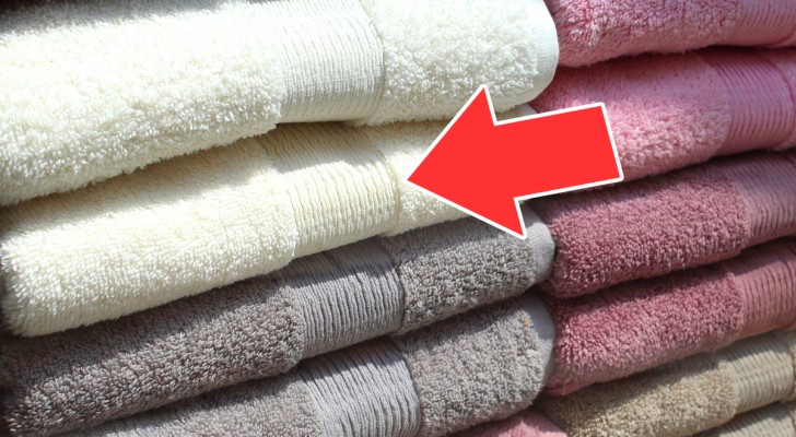 A cosa servono le bande di tessuto sugli asciugamani? La loro funzione è essenziale
