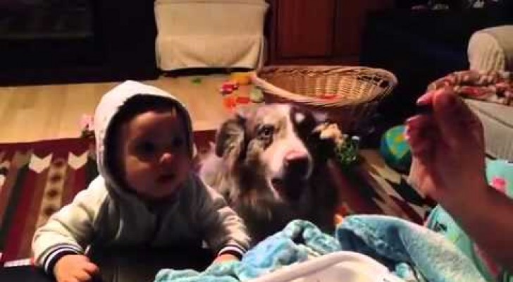 Ze probeert haar kind mama te laten zeggen, maar let op de hond... JE ZULT HET NIET GELOVEN!
