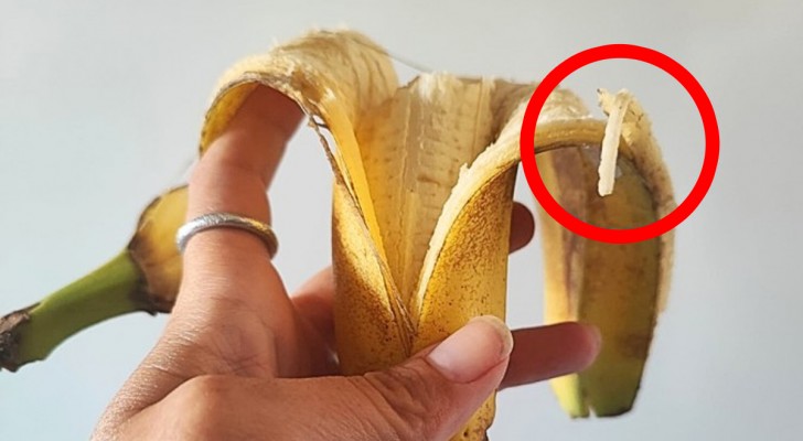 Bijna iedereen verwijdert de witte draadjes van bananen: dit is waarom je dat nooit zou moeten doen