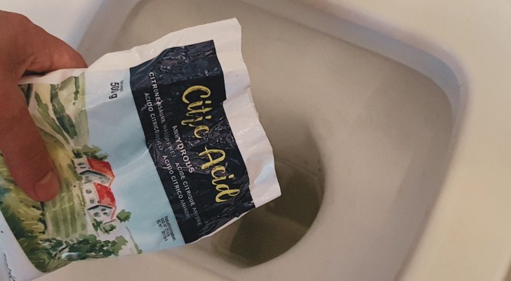 Acido citrico nel WC: scopri i vantaggi di cui non fare a meno